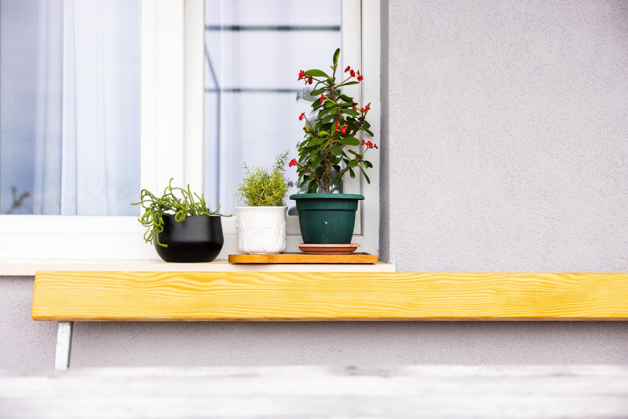 Apartman Nora Omiš Buitenkant foto